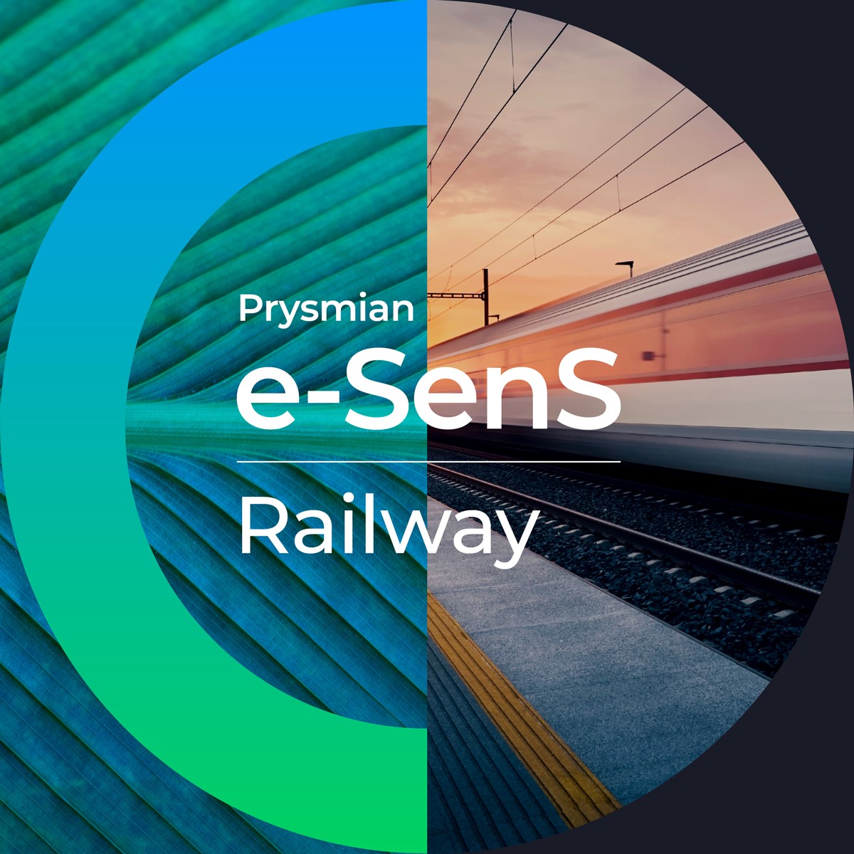 Banner_e-SenS_Railways_cuadrado.jpg