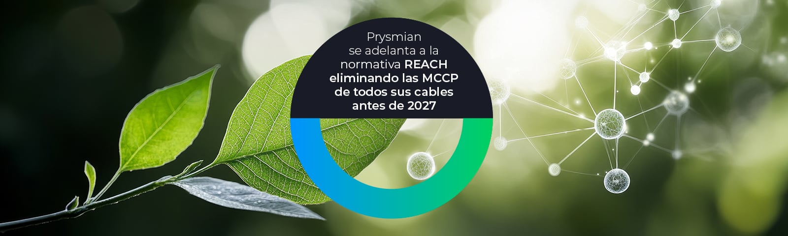 Banner_coroparafinas_horizontal