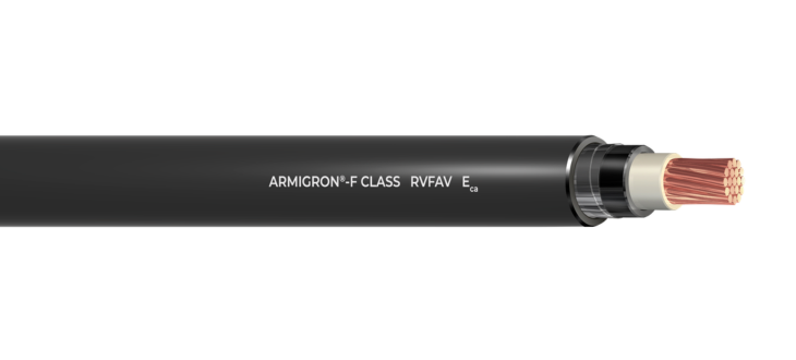 ARMIGRON-F Class (unipolar) | RVFAV | Eca